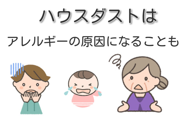 nEX_Xg̓AM[̌ɂȂH@摜